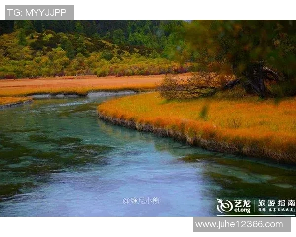 探索埃斯特旺的魅力与风情，感受独特文化与自然景观的完美结合